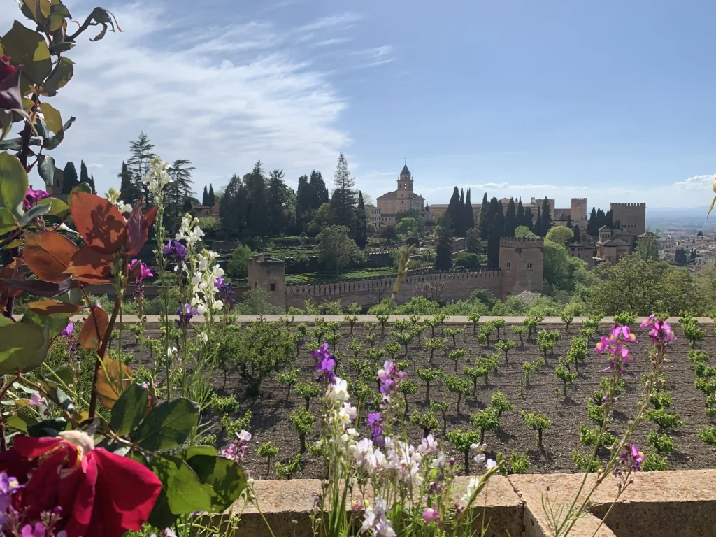 Vista sull’Alhambra di Granada dai giardini del Generalife con fiori in primo piano e mura nasridi sullo sfondo