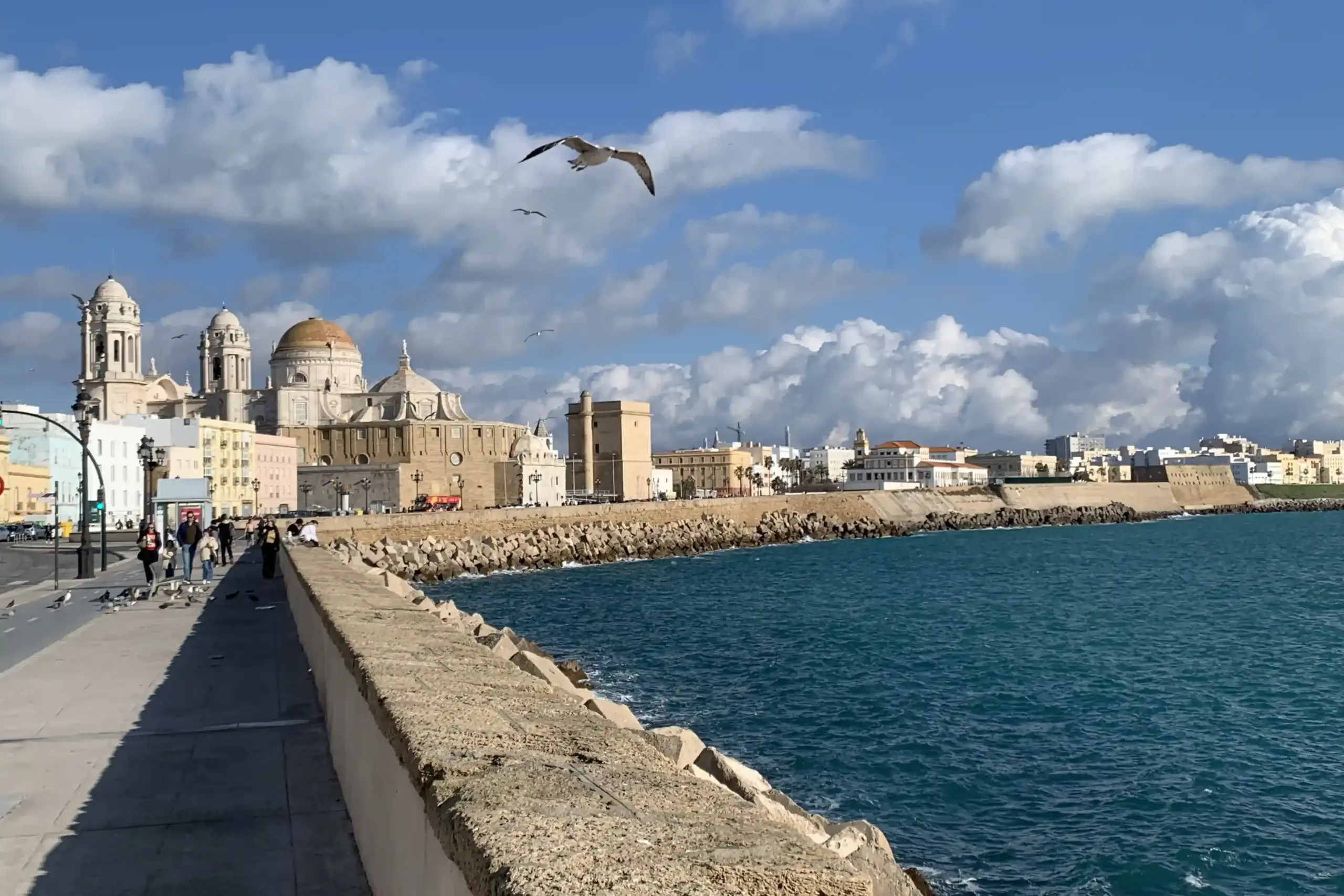 Cattedrale di Cádiz vista dal Campo del Sur con oceano Atlantico e gabbiano in volo