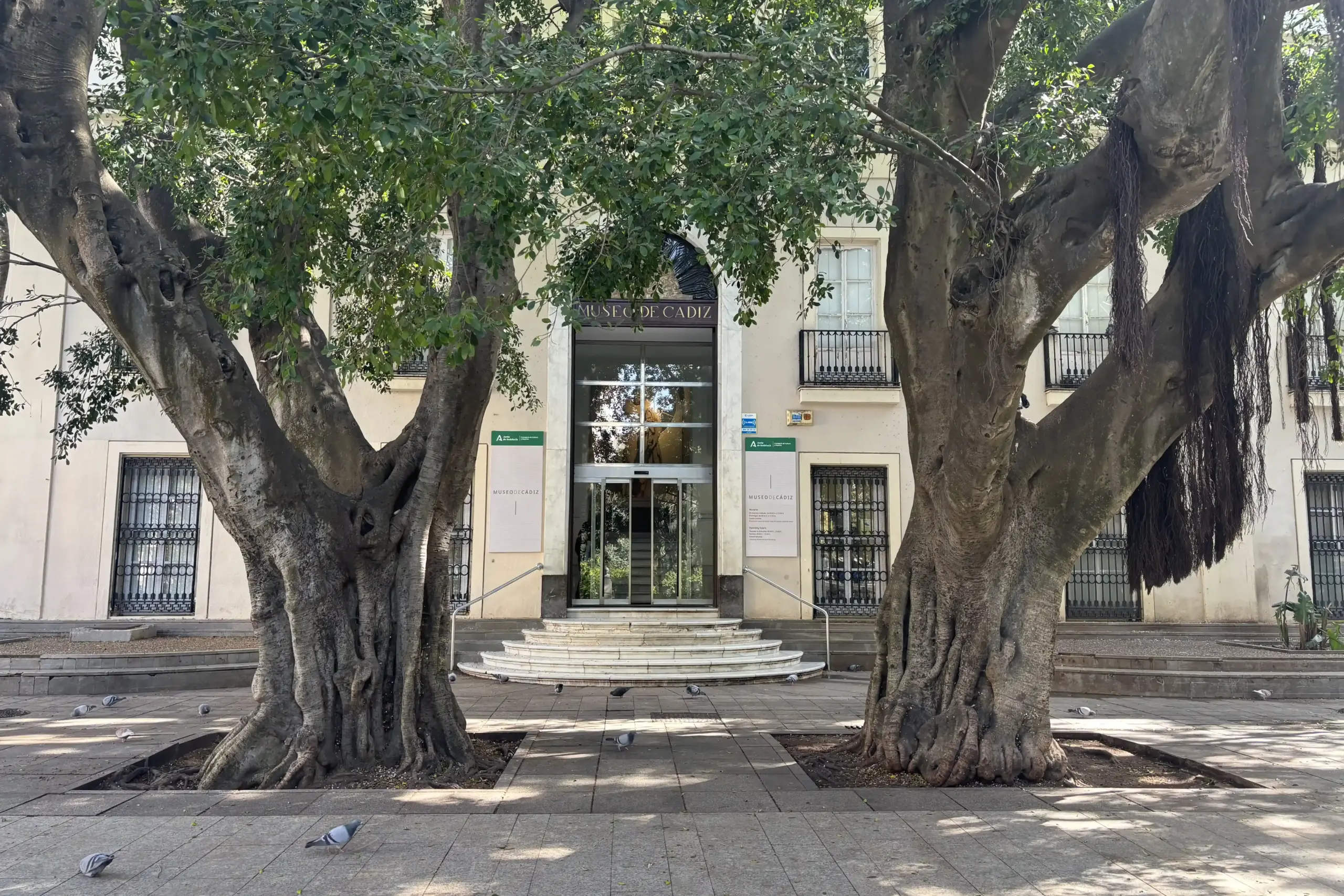Ingresso del Museo de Cádiz in Plaza de Mina a Cadice
