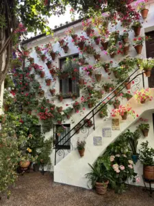 Patio di Córdoba con vasi di fiori su parete bianca e scala esterna durante il Festival de los Patios di Cordoba