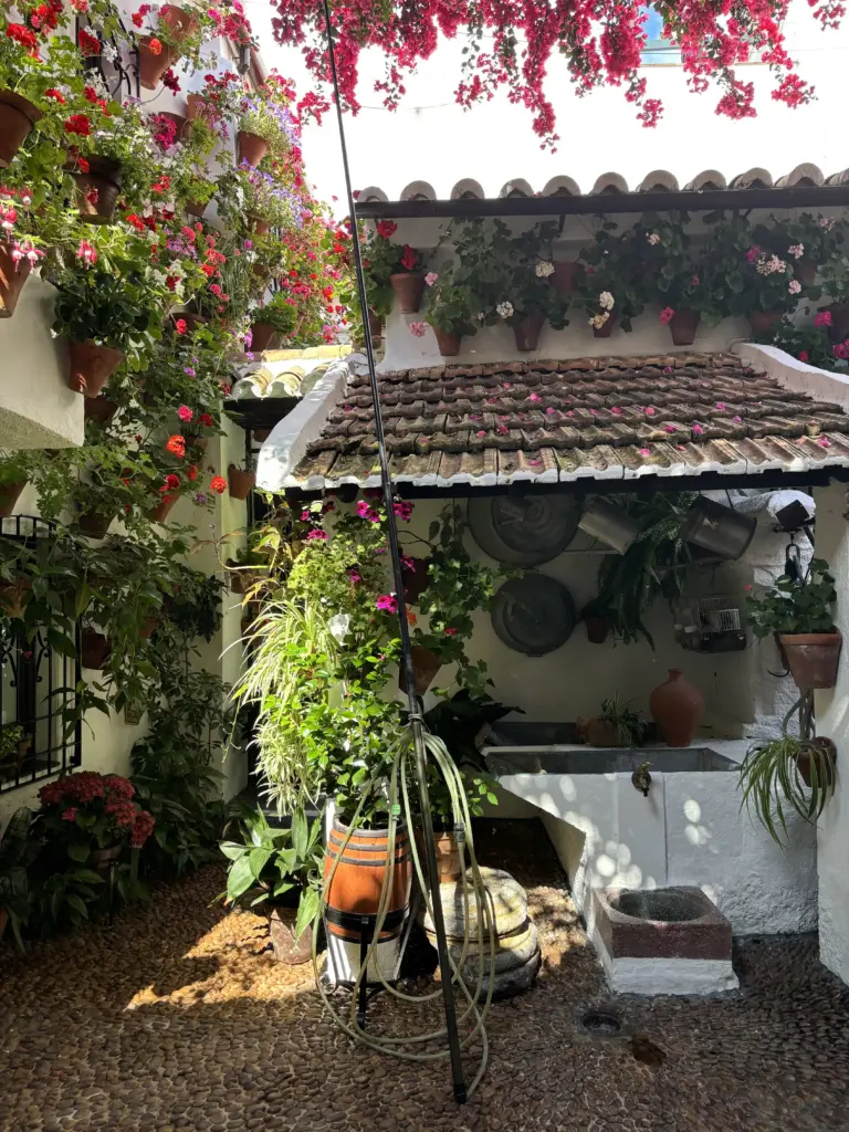 Patio di Córdoba con vasi di fiori su parete bianca e lavatorio esterno