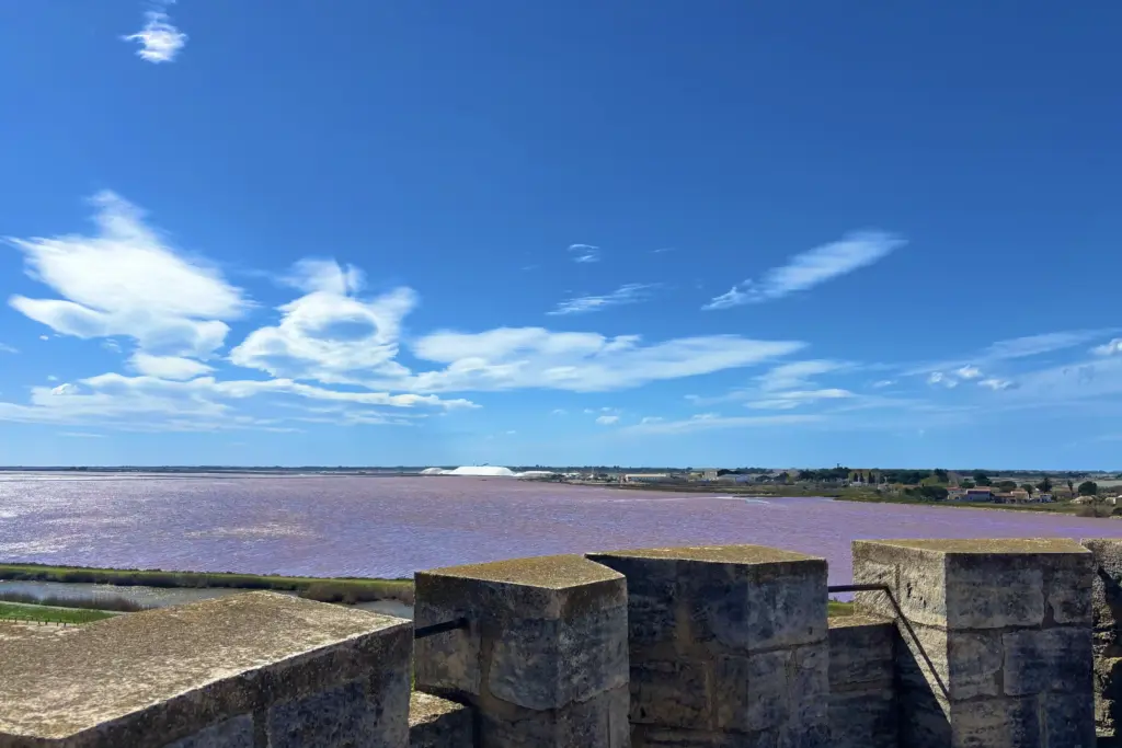 saline di aigues mortes viste dalle mura con paesaggio della camargue