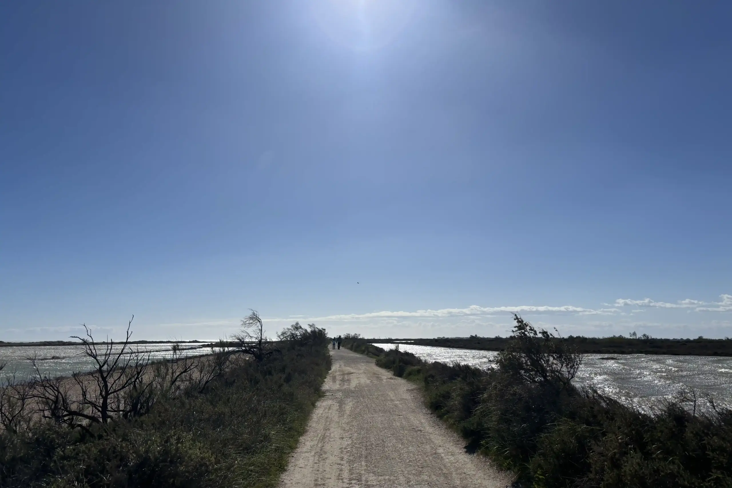 Digue à la Mer Camargue strada tra mare e lagune