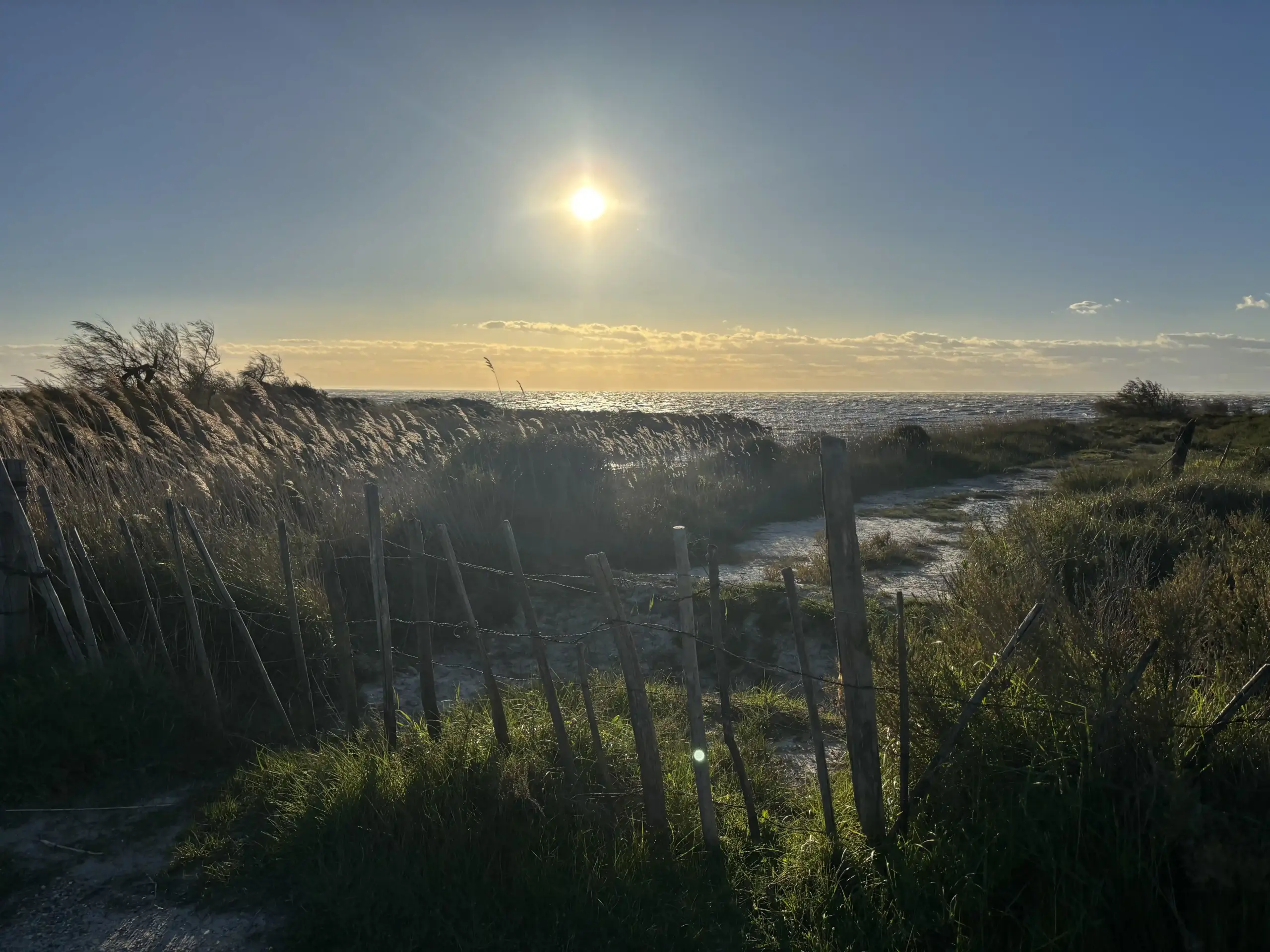 Paesaggio della Camargue nel sud della Francia