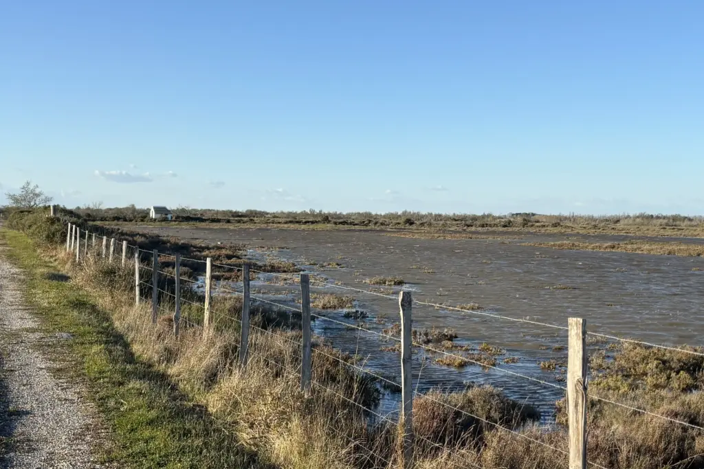 paesaggio paludoso della camargue con cabane de gardian sullo sfondo