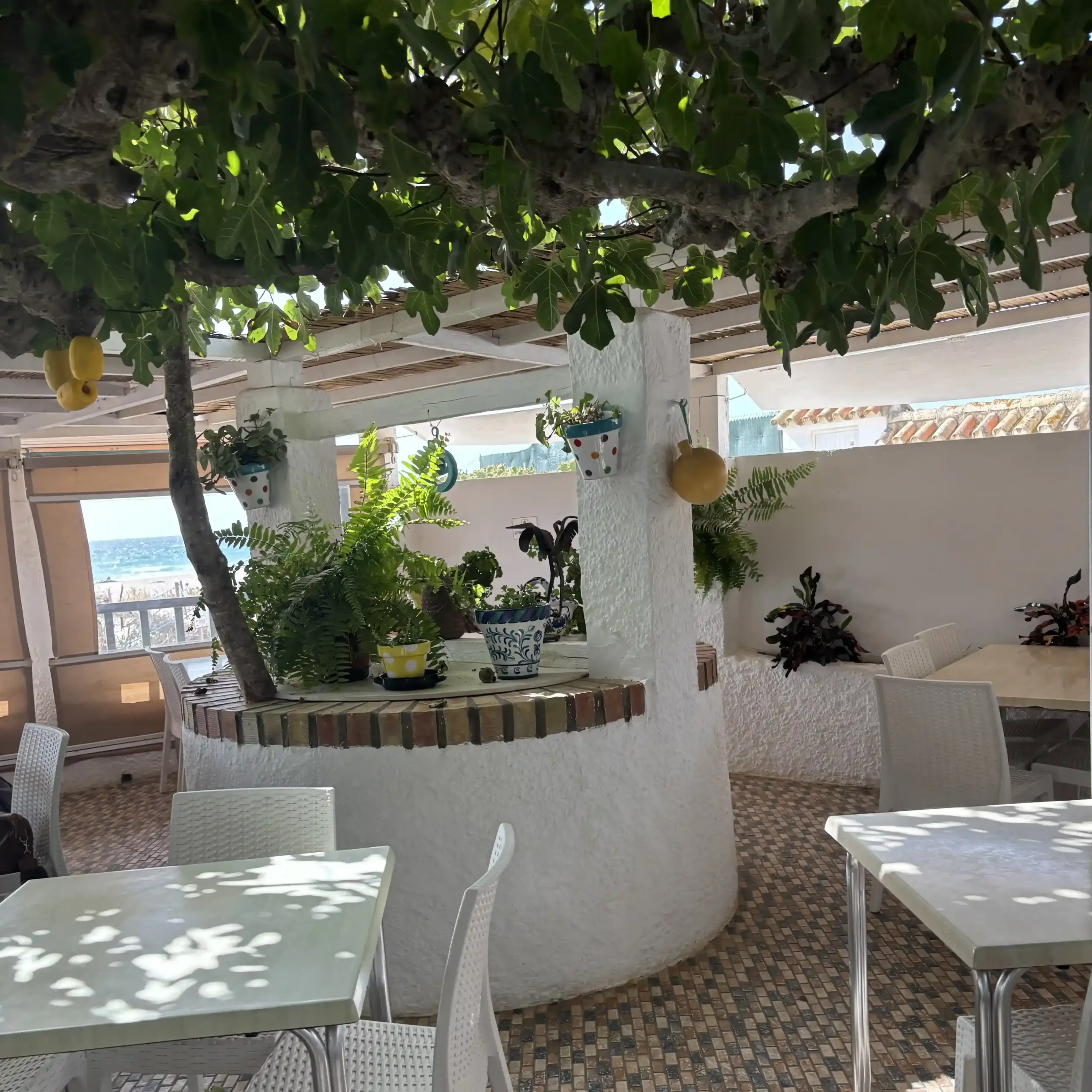 Ristorante El Refugio a Zahara de lo Atunes