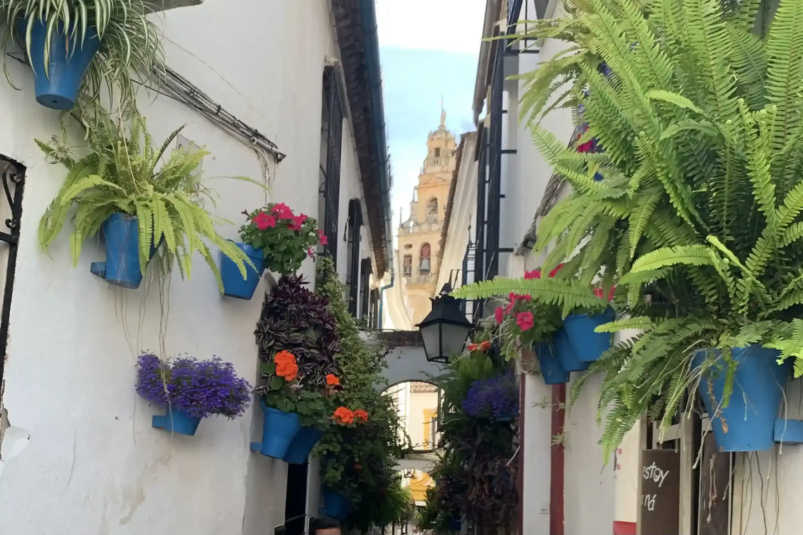 Calleja de las Flores di Córdoba con vasi blu fioriti e campanile della Mezquita sullo sfondo