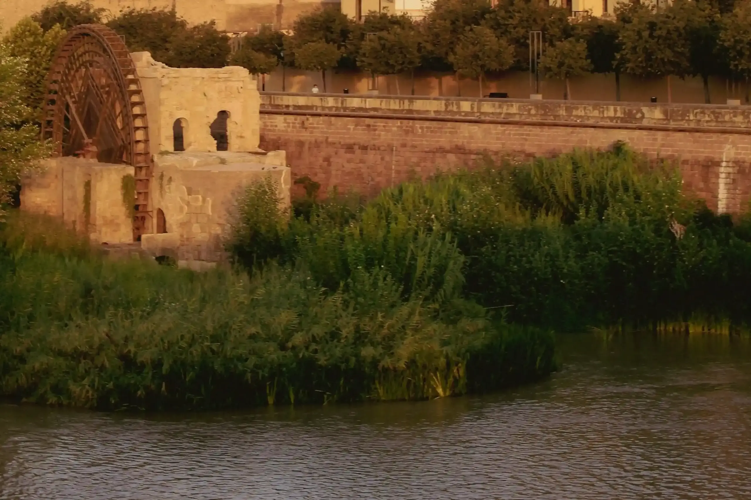 La noria dell’Albolafia sul fiume Guadalquivir con le mura dell’Alcázar di Córdoba sullo sfondo