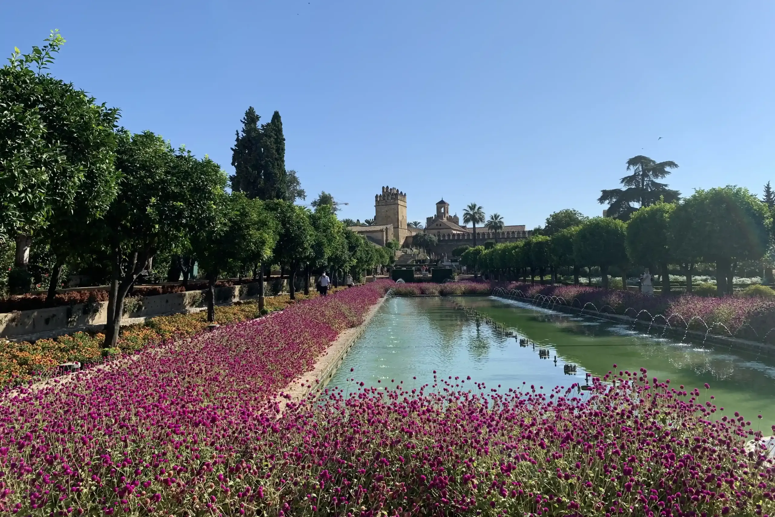 Giardini dell’Alcázar de los Reyes Cristianos di Córdoba con vasca centrale e fiori viola