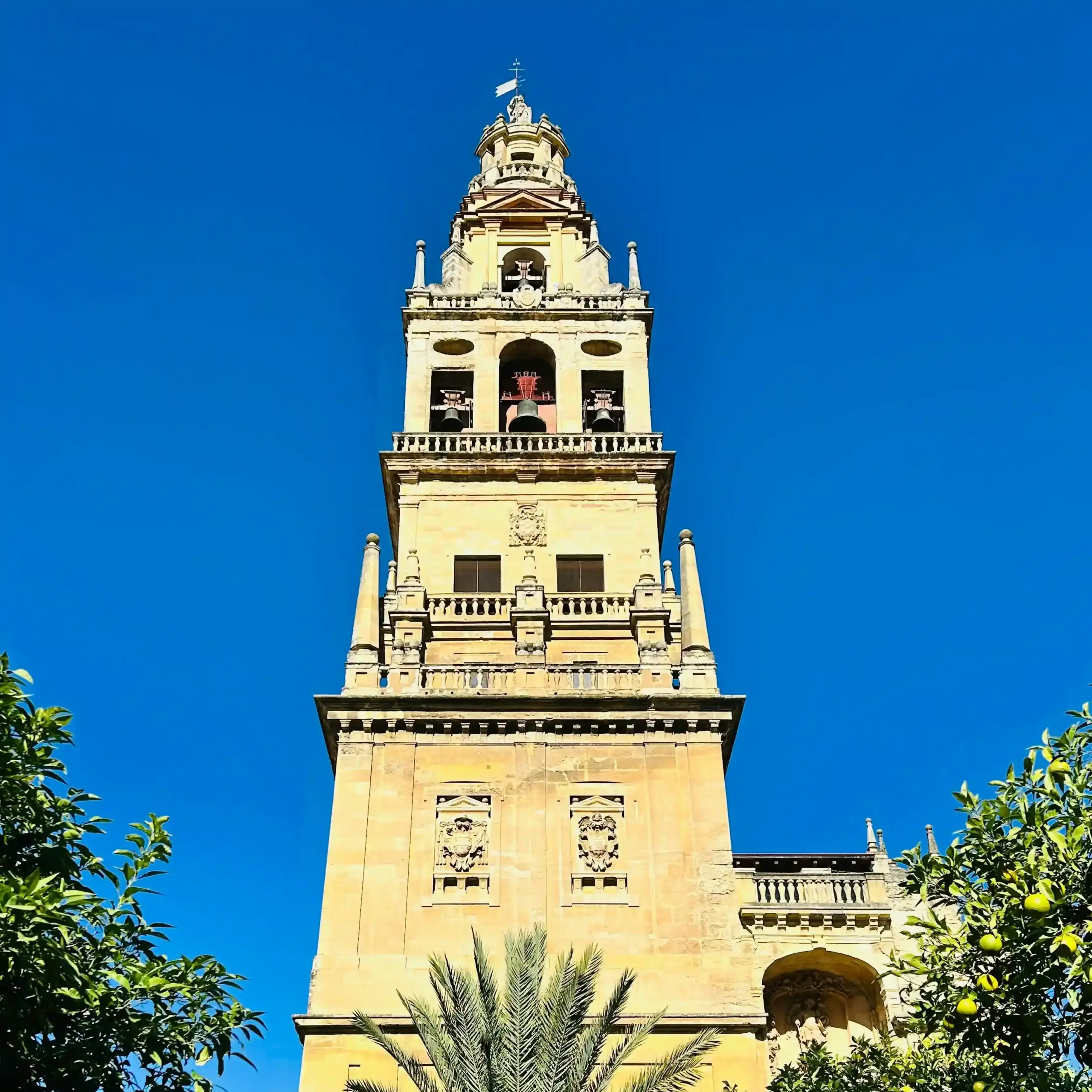 Campanile della Mezquita-Catedral di Córdoba visto dal Patio de los Naranjos con palme e alberi di arancio.