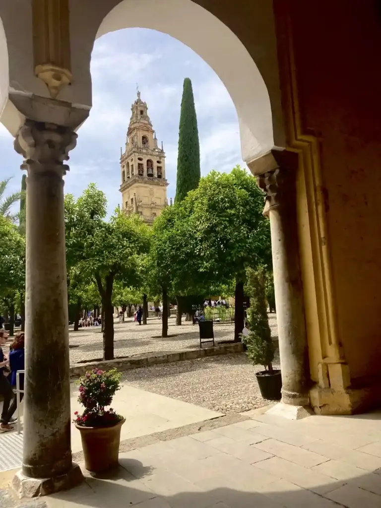 Campanile della Mezquita-Catedral di Córdoba visto dal Patio de los Naranjos con palme e alberi di arancio.
