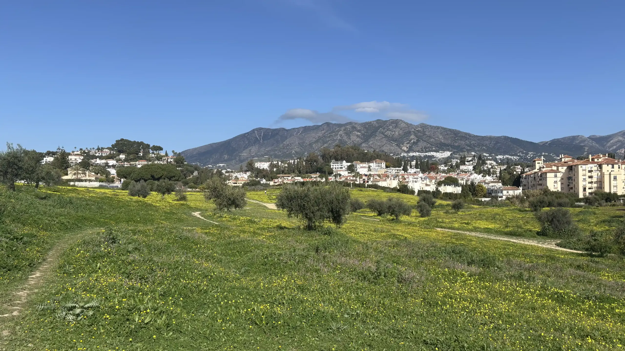 Paesaggio della Sierra de las Nieves con prati fioriti e montagne sullo sfondo, nei dintorni di Malaga, Costa del sol