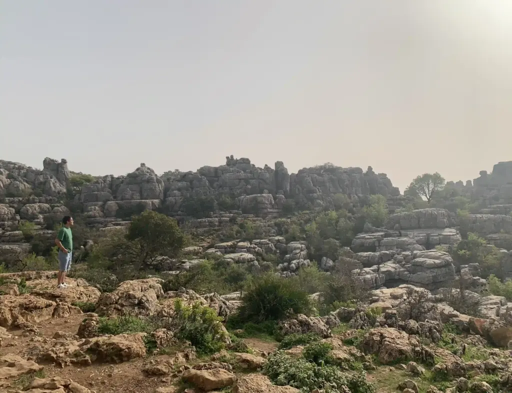 Formazioni rocciose di El Torcal de Antequera con sentieri e vegetazione mediterranea