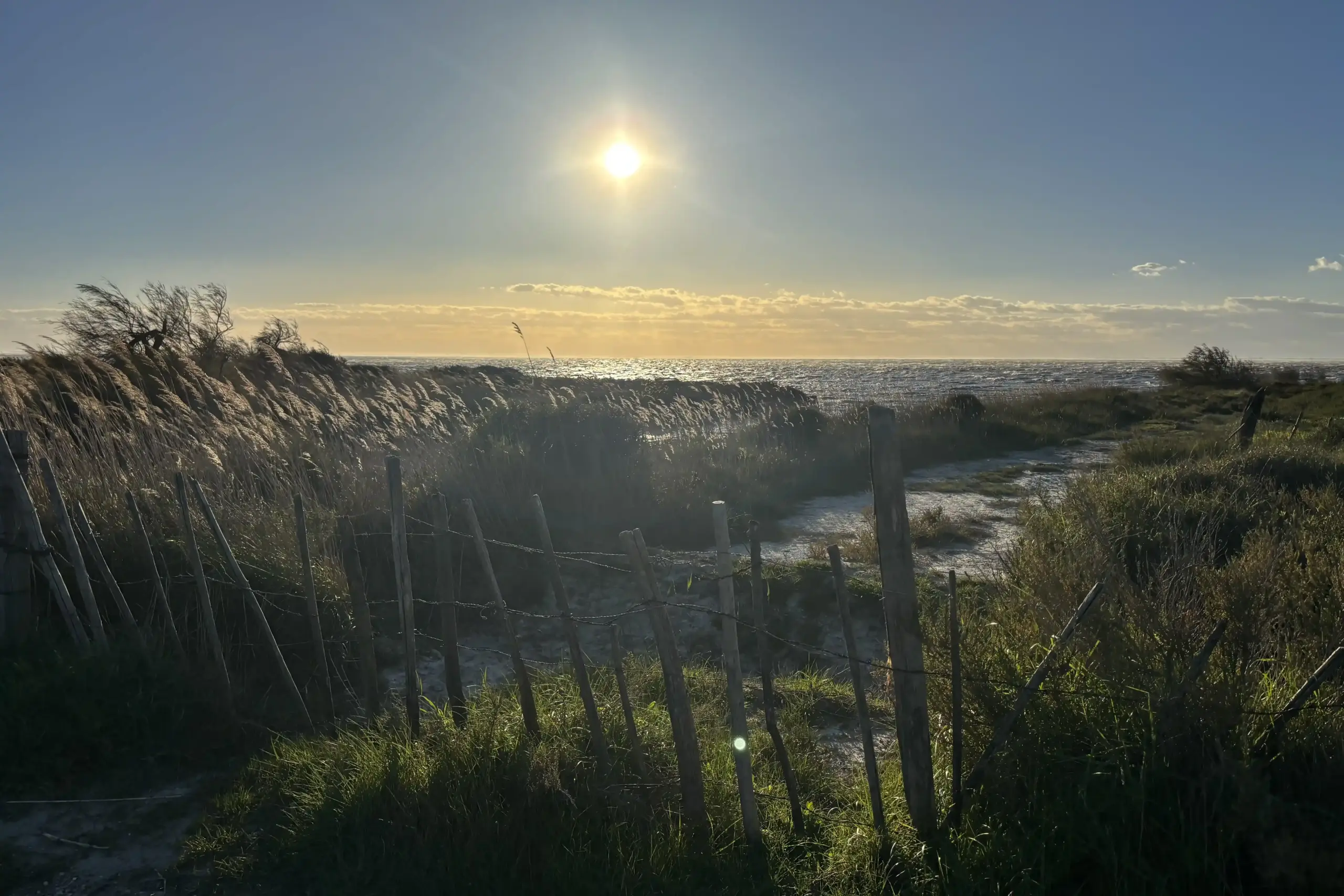 Percorso al tramonto con dune, canneti e mare all’orizzonte in Camargue