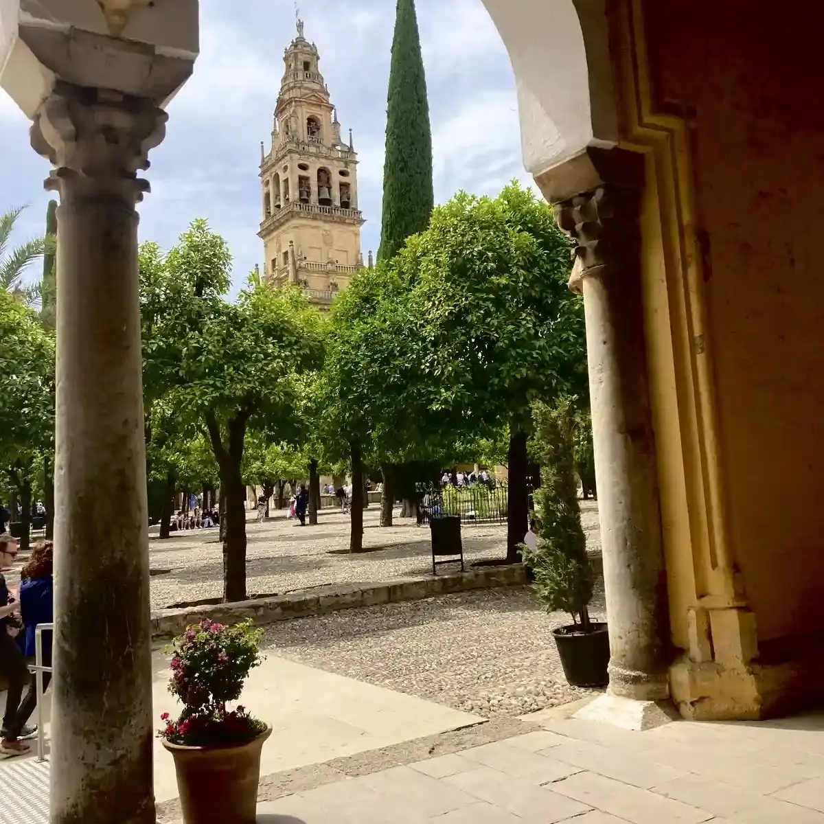 Campanile della Mezquita-Catedral di Córdoba visto dal Patio de los Naranjos con palme e alberi di arancio.