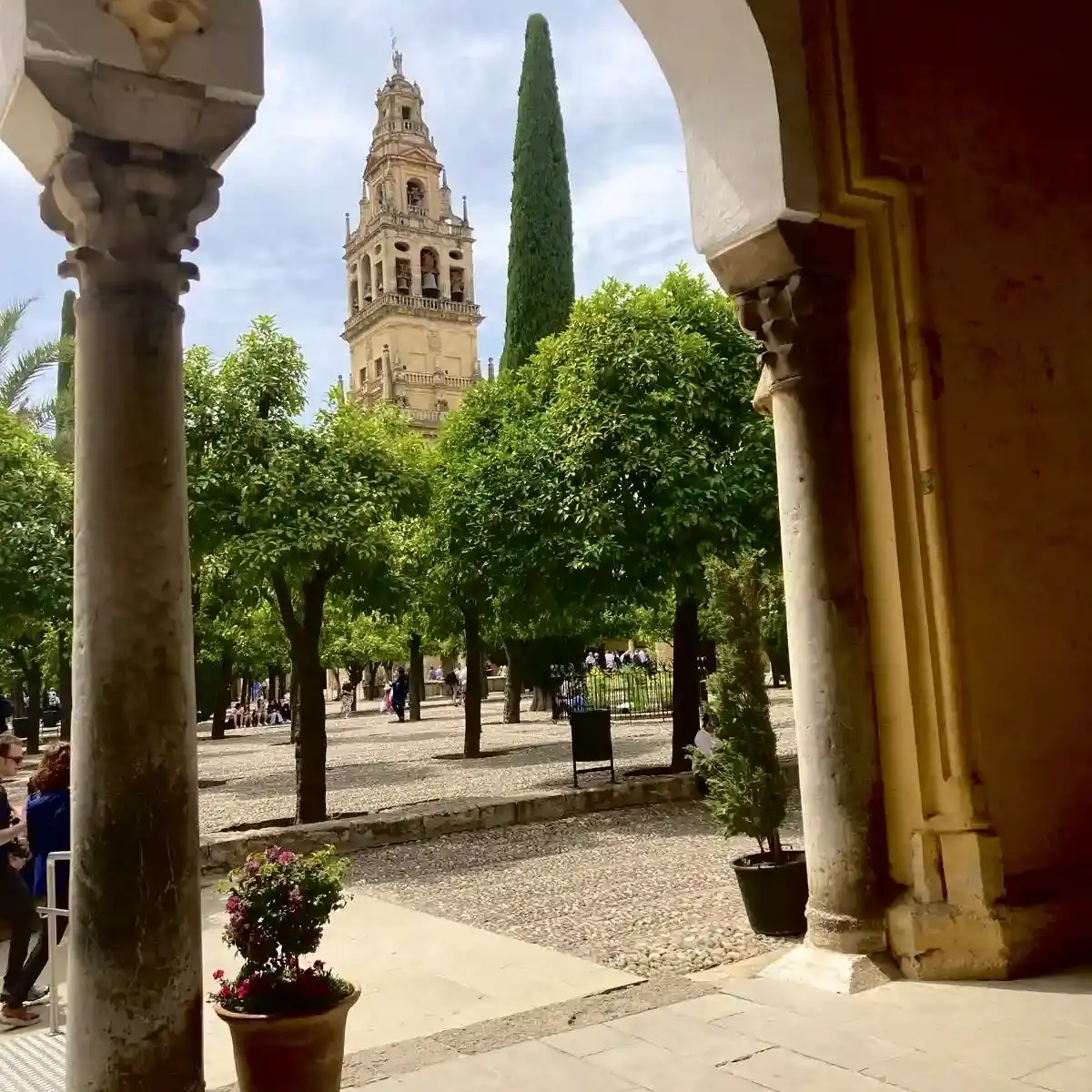 Campanile della Mezquita-Catedral di Córdoba visto dal Patio de los Naranjos con palme e alberi di arancio.