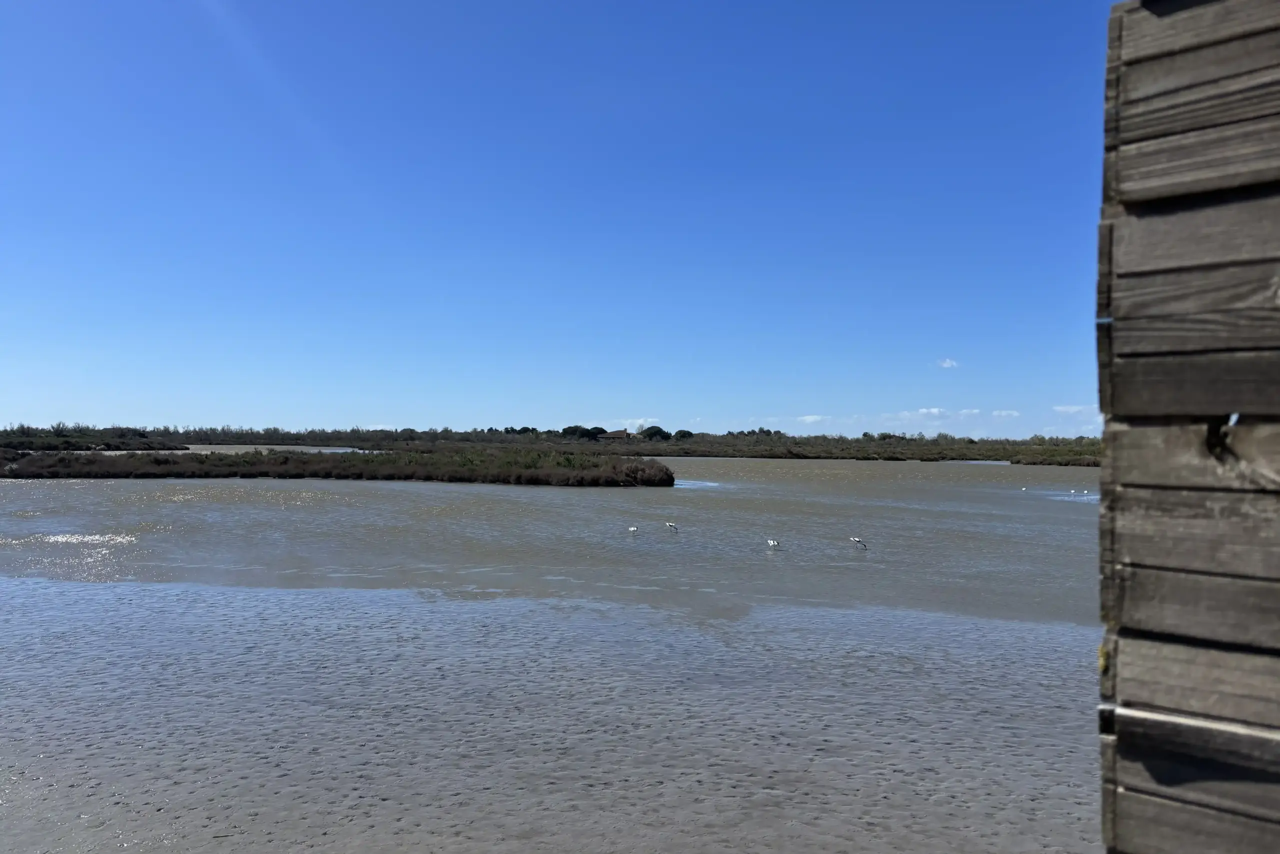 Estanque de la Camarga visto desde un observatorio de madera en el Parque Ornitológico de Pont de Gau con algunas aves