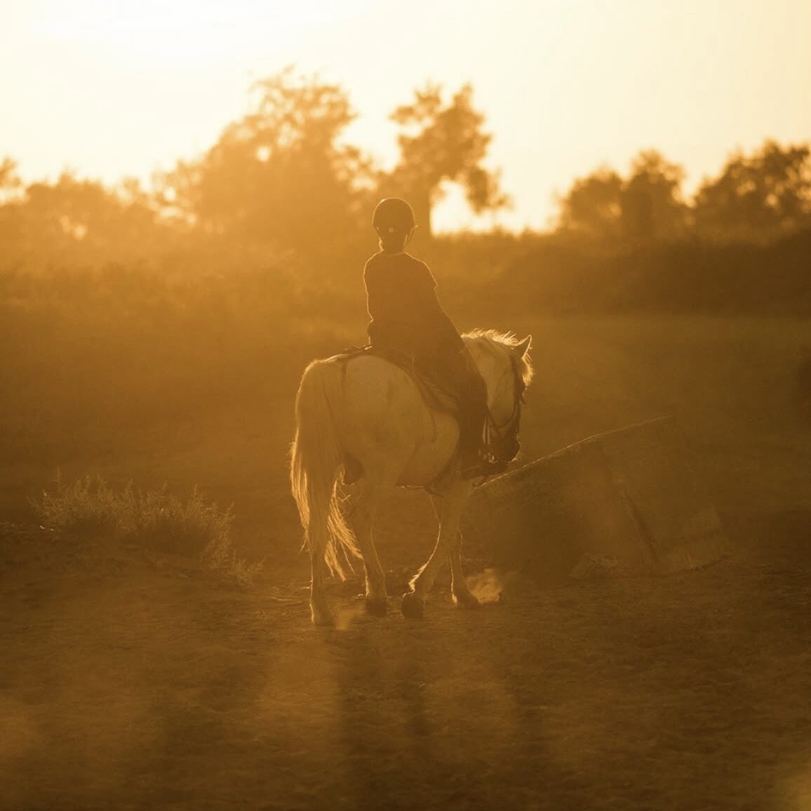 Persona a cavallo nella campagna della Camargue al tramonto, con luce dorata e atmosfera suggestiva