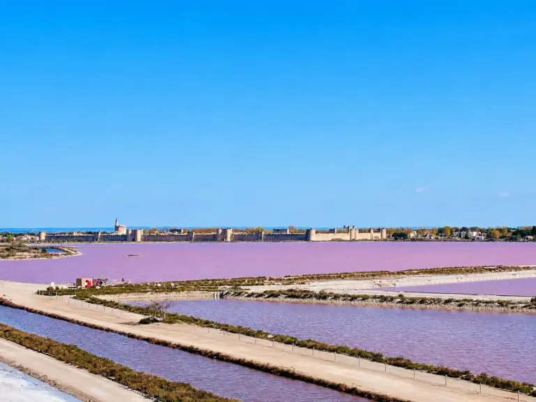 Vasche rosa delle saline con le mura medievali di Aigues-Mortes sullo sfondo
