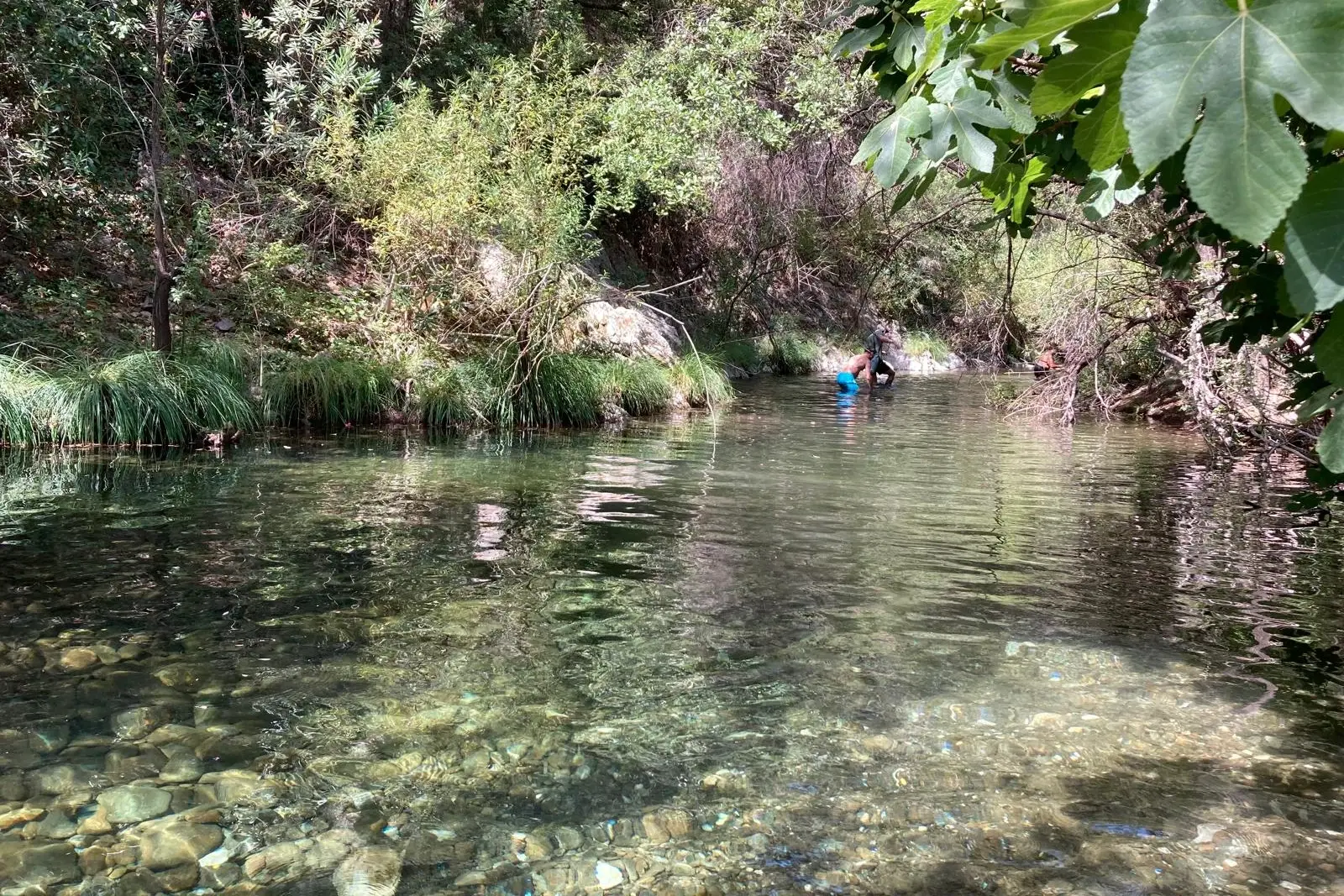 Percorso acquatico nel Río Verde di Istán tra acqua trasparente e vegetazione riparia verso il Charco de Canalón